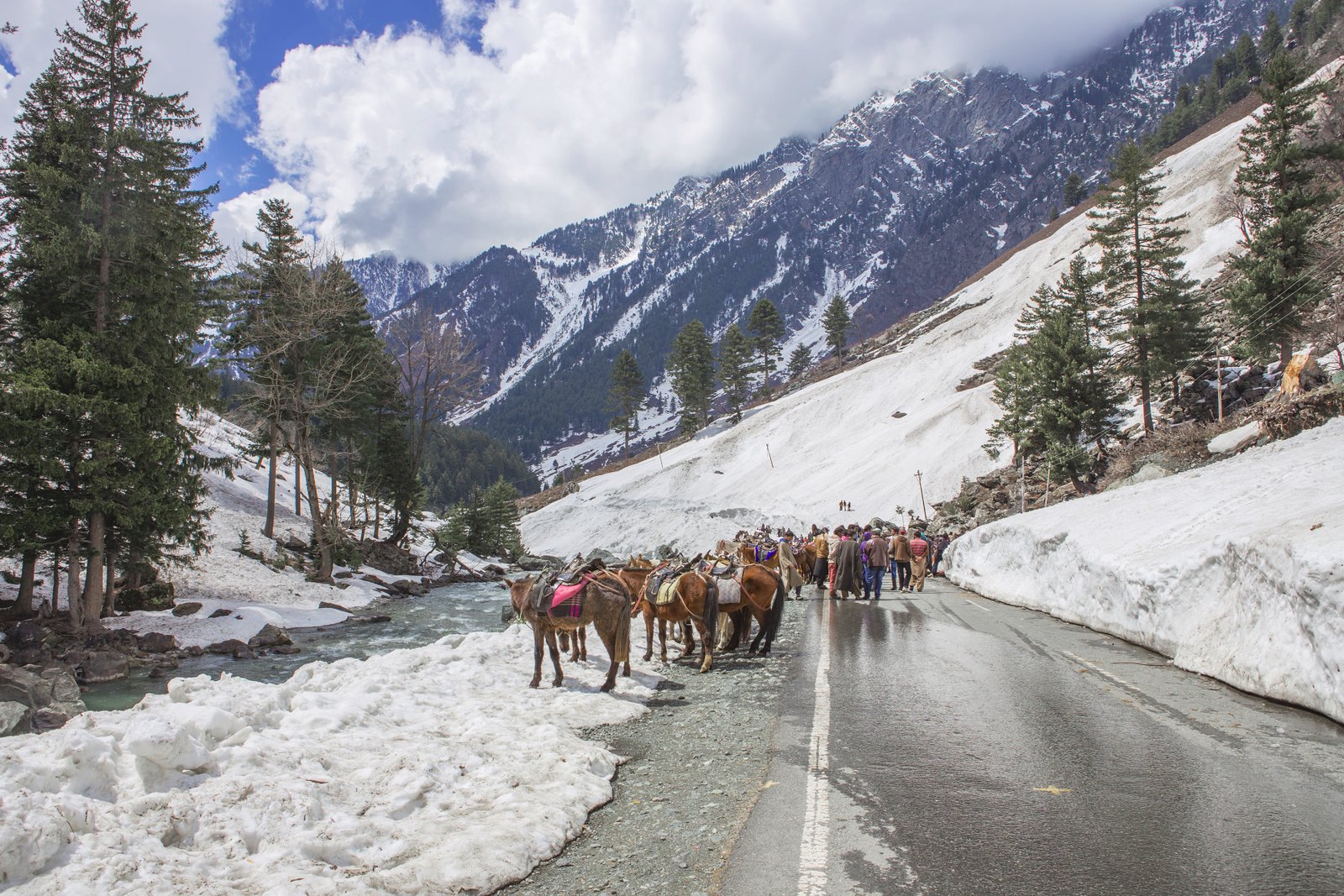Kashmir Paradise Package